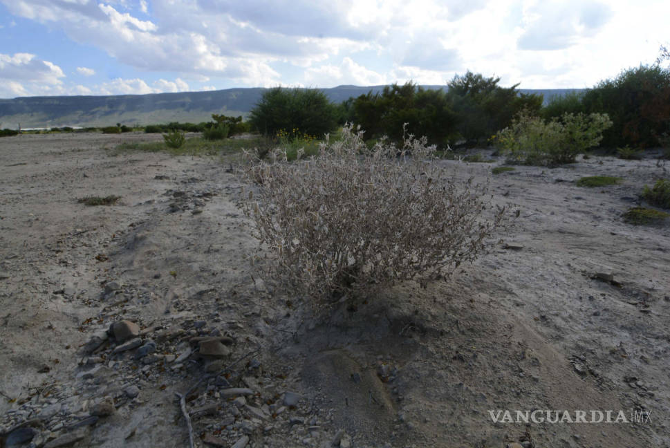 $!Denuncian estragos sobre tierra y plantas a causa de confinamiento industrial en Coahuila