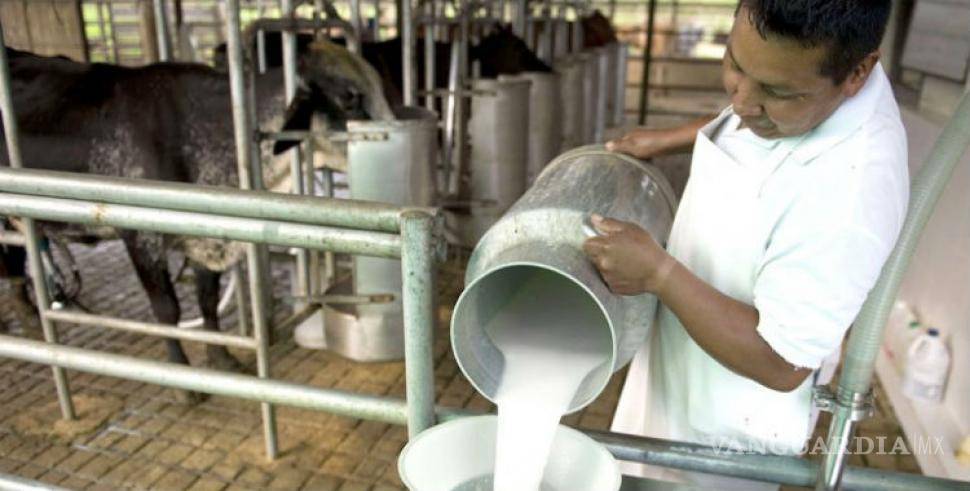$!Piden pequeños y medianos lecheros dar preferencia a la producción nacional de lácteos