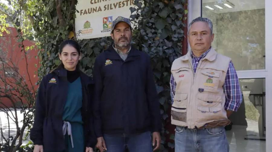 Especialistas del museo buscan concretar el proyecto durante el año en curso.