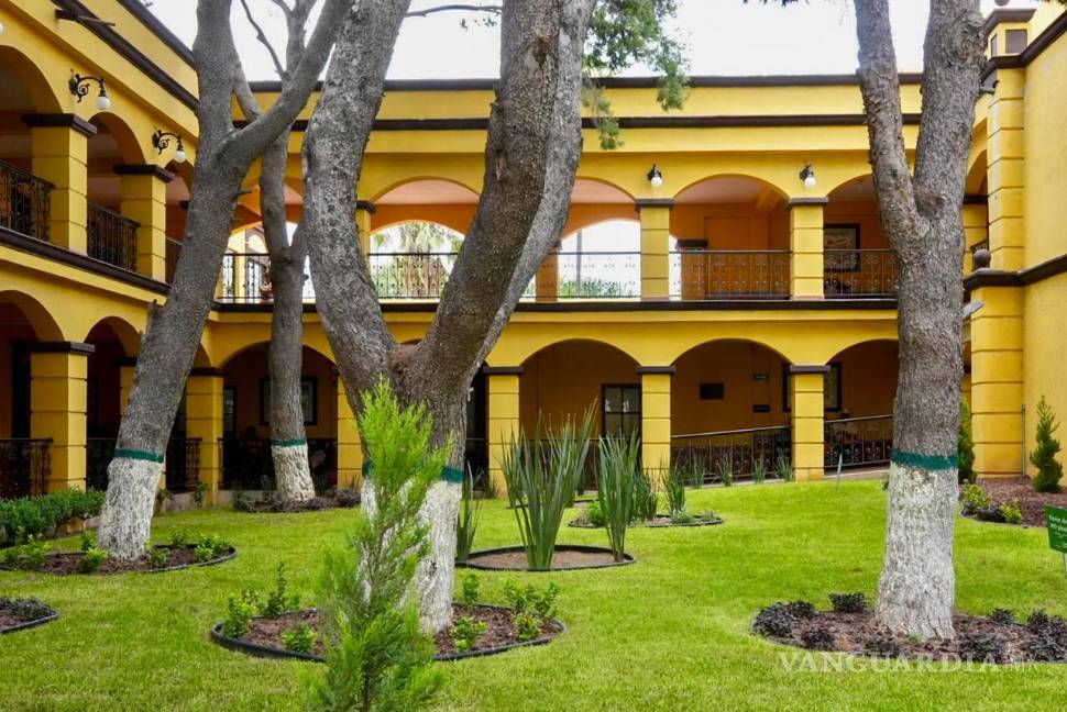 $!Las áreas verdes de la Presidencia Municipal fueron renovadas para ofrecer un entorno más agradable a visitantes y trabajadores.