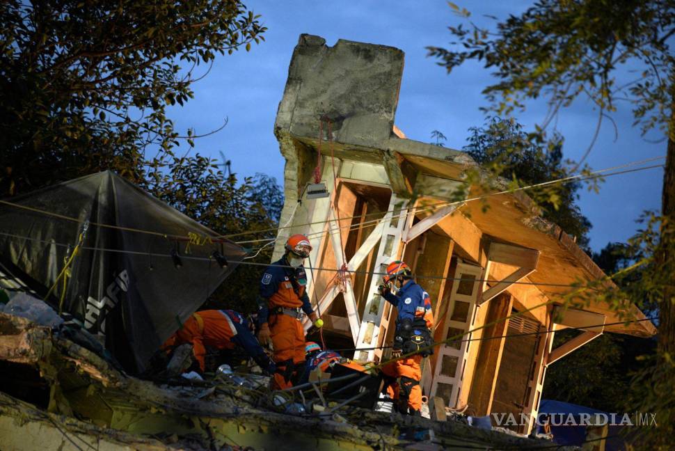 $!Tras el terremoto en CDMX un equipo japonés de rescate encontró con vida a un perrito schnauze en los escombros del edificio 1-C del Multifamiliar Tlalpan.