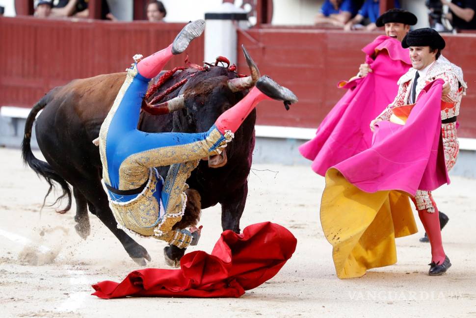 $!&quot;Pensaba que me moría”, dice el torero español Román Collado