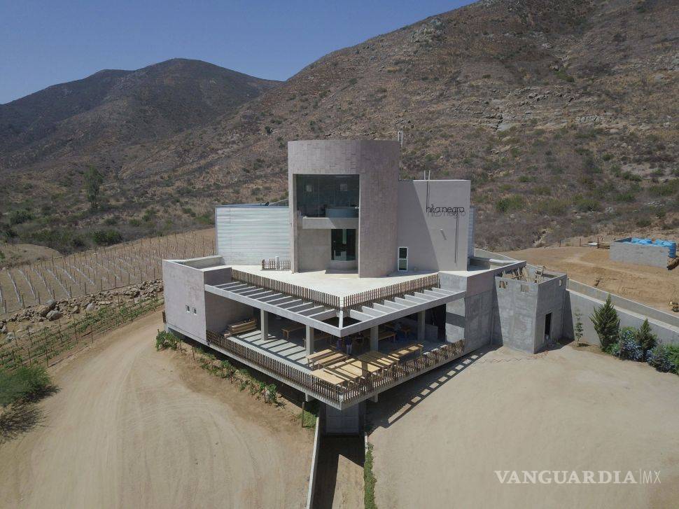 $!Salieron políticos 'buenos' (y vivos) para el vino: aprovechan apoyos federales para sus viñedos