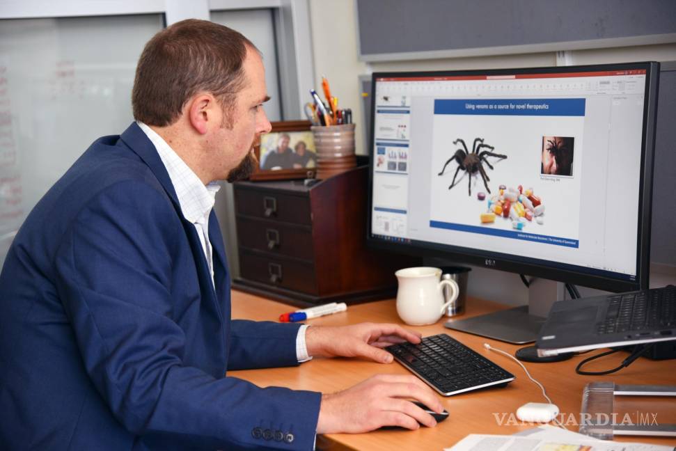 $!El doctor Nathan Palpant observa a la araña en pantalla. EFE/The University of Queensland/Victor Chang Cardiac Research Institute
