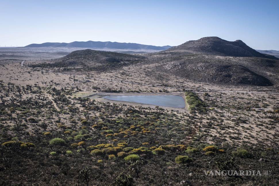 $!Ubicado en el desierto de San Luis Potosí, Real de Catorce es un destino místico rodeado de historia minera y espiritualidad.