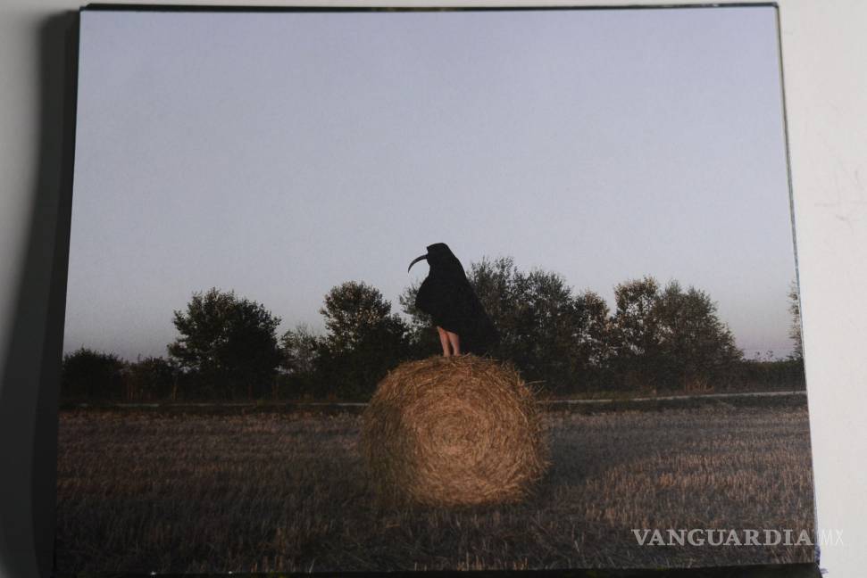 $!Libro impreso en Medio Pliego, entre los mejores del 2018