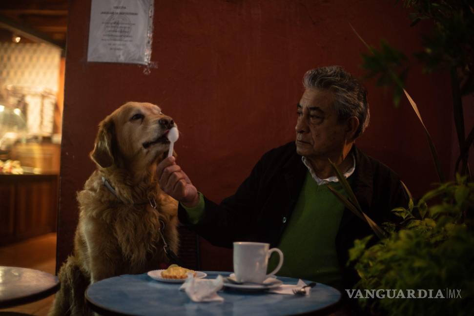$!Un hombre convive con perro en una cafetería del centro de San Cristobal de las Casas.