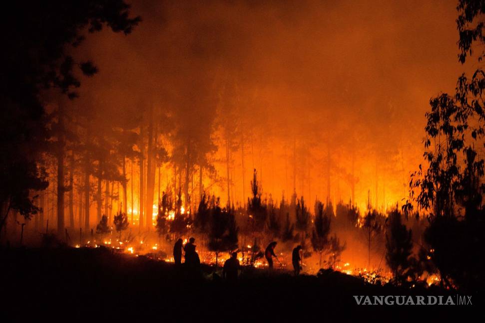 $!¡Arde Chile!, 40 incendios forestales se mantienen activos