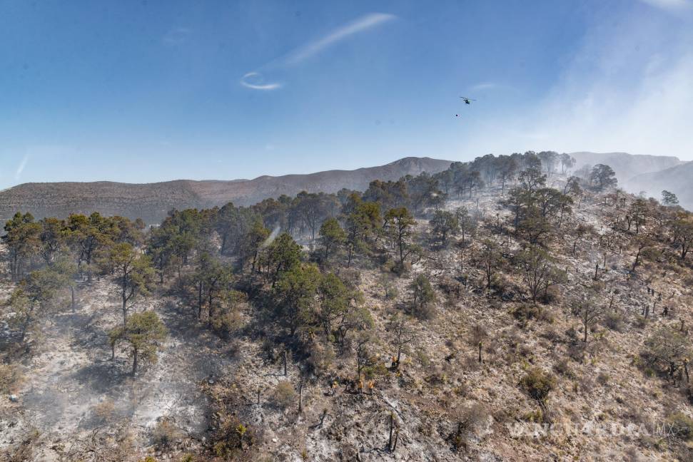 $!Los brigadistas continúan trabajando en la detección y sofocación de puntos calientes en la zona afectada por el incendio.