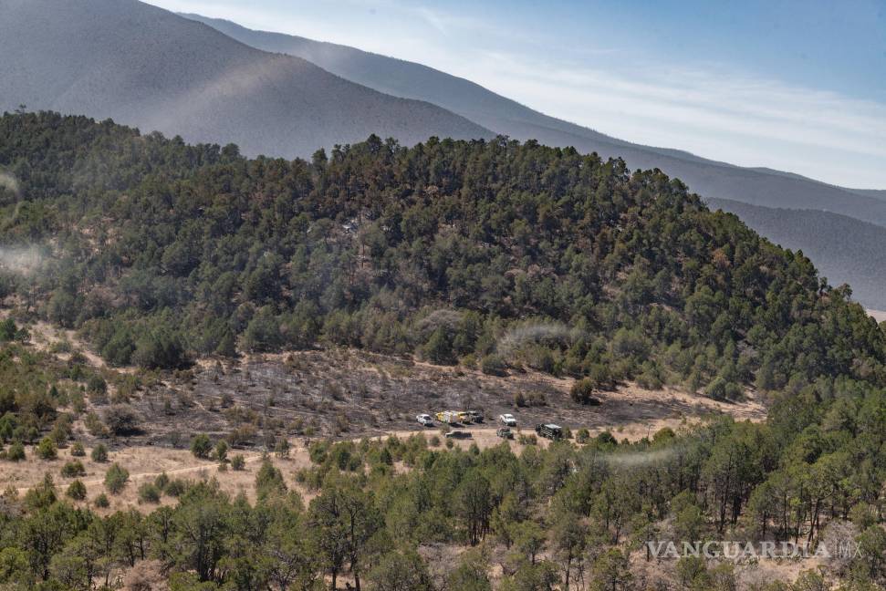 $!Elementos de la Secretaría de la Defensa Nacional, brigadas rurales y Protección Civil de Nuevo León se sumaron a las labores de control del fuego.