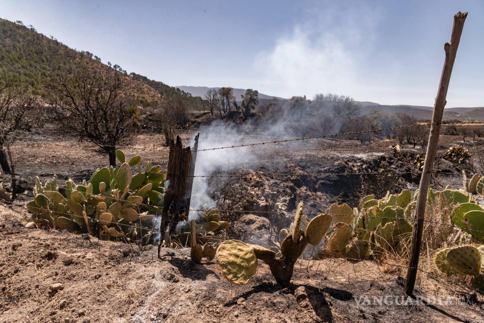 $!Las llamas continúan propagándose en El Tunal, donde las brigadas están trabajando en condiciones difíciles para sofocar el fuego.