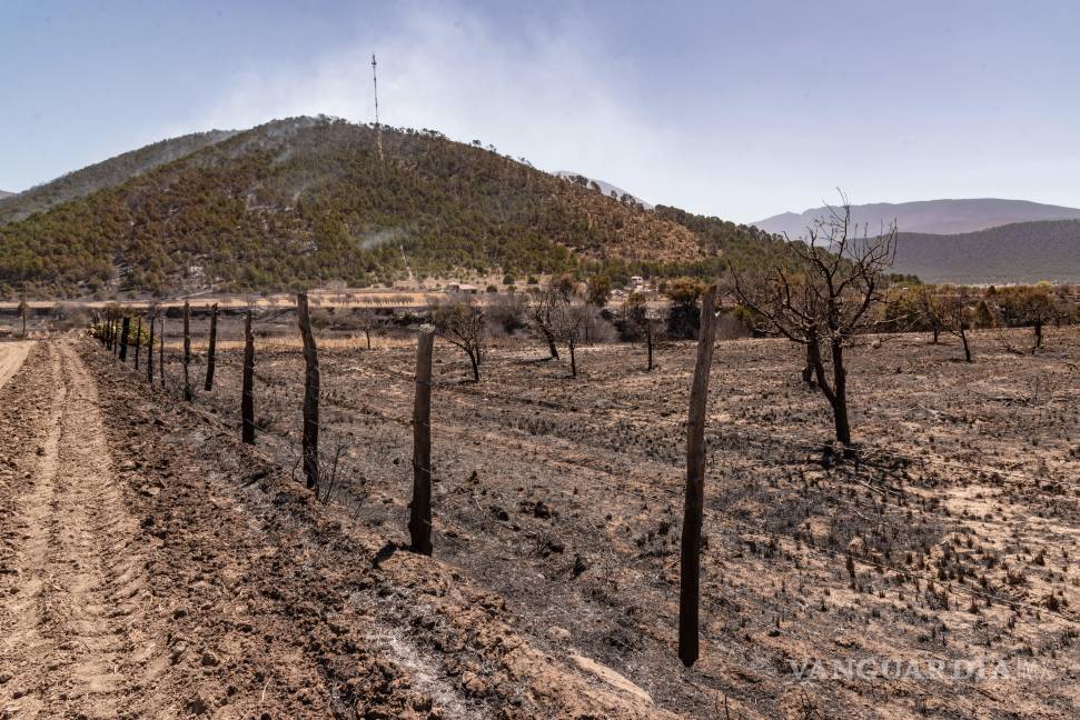 $!El incendio en el ejido El Tunal ha afectado 73 hectáreas y se encuentra en proceso de liquidación.