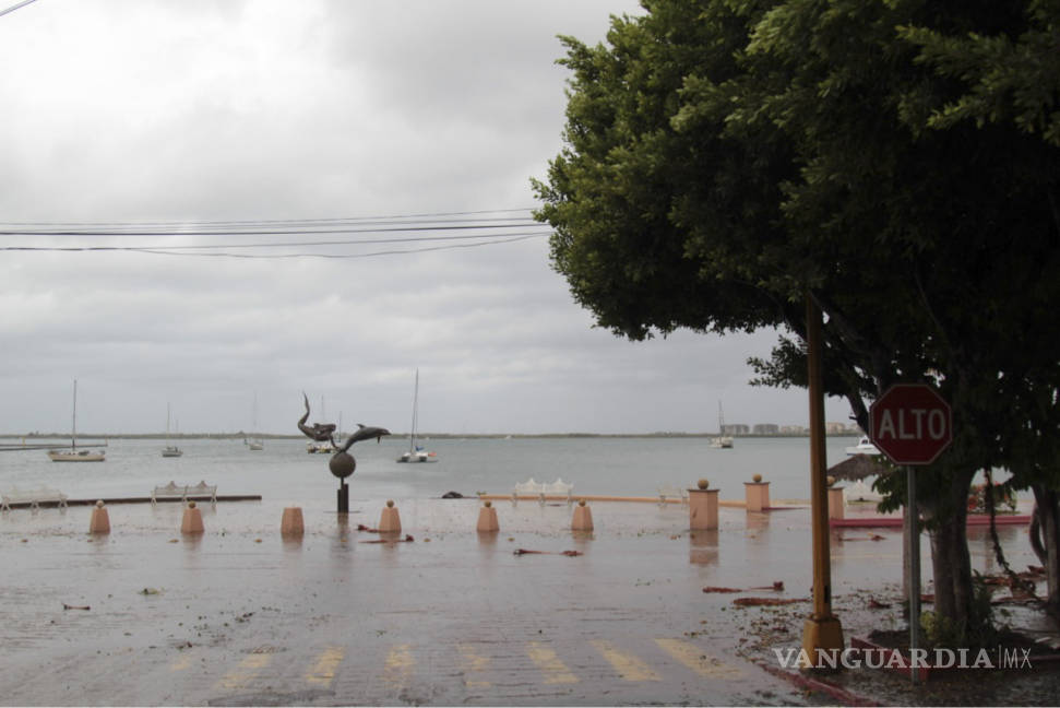 $!En Los Cabos y La Paz restablecen 27% de luz; Newton deja daños en 147 escuelas