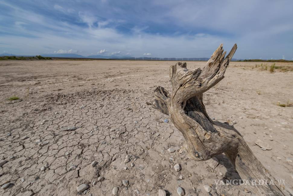 $!La sequía no sólo afectó al ecosistema, también a decenas de ganaderos y ejidatarios de Hipólito.