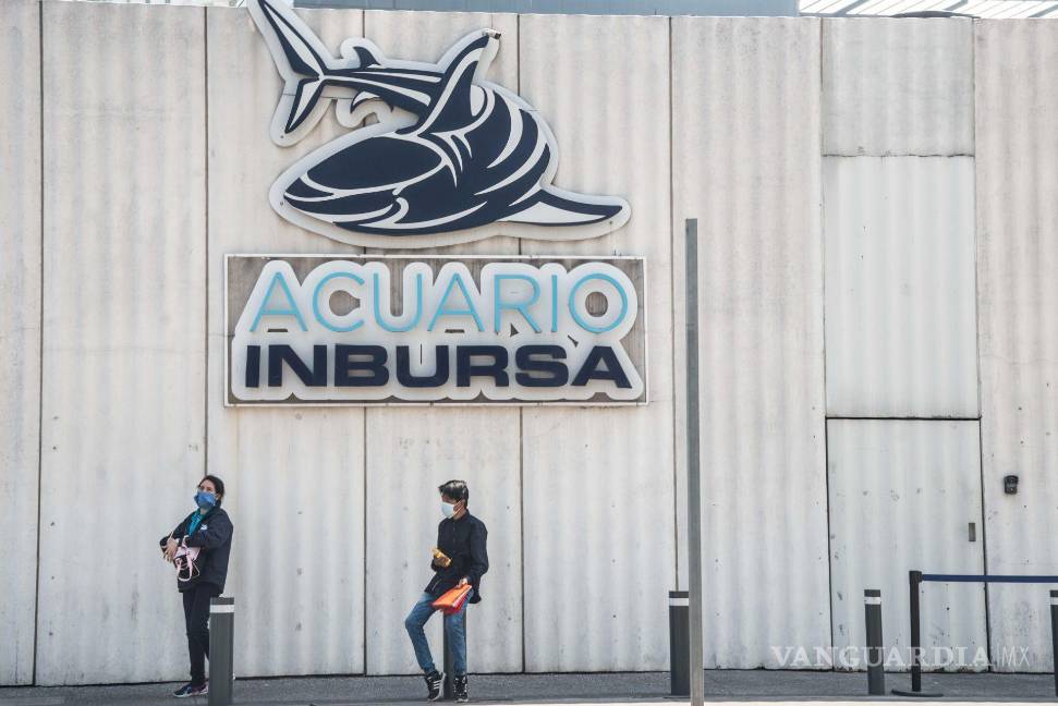 Fiscalía de la CDMX investiga responsabilidad en muerte de bióloga en Acuario Inbursa