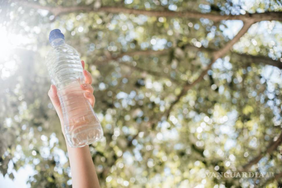 $!Una persona sostiene una botella de plástico transparente, elevándola, en medio de un bosque.