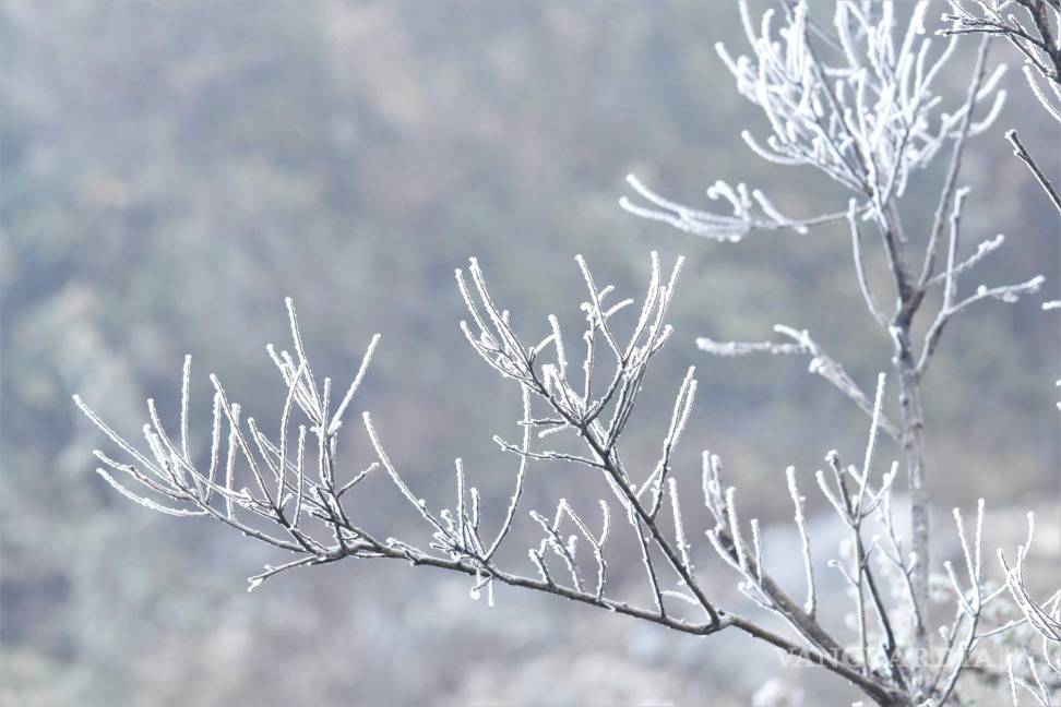 $!La nieve es provocado por las bajas temperaturas, lluvia y humedad, anunciadas al mediodía del lunes.