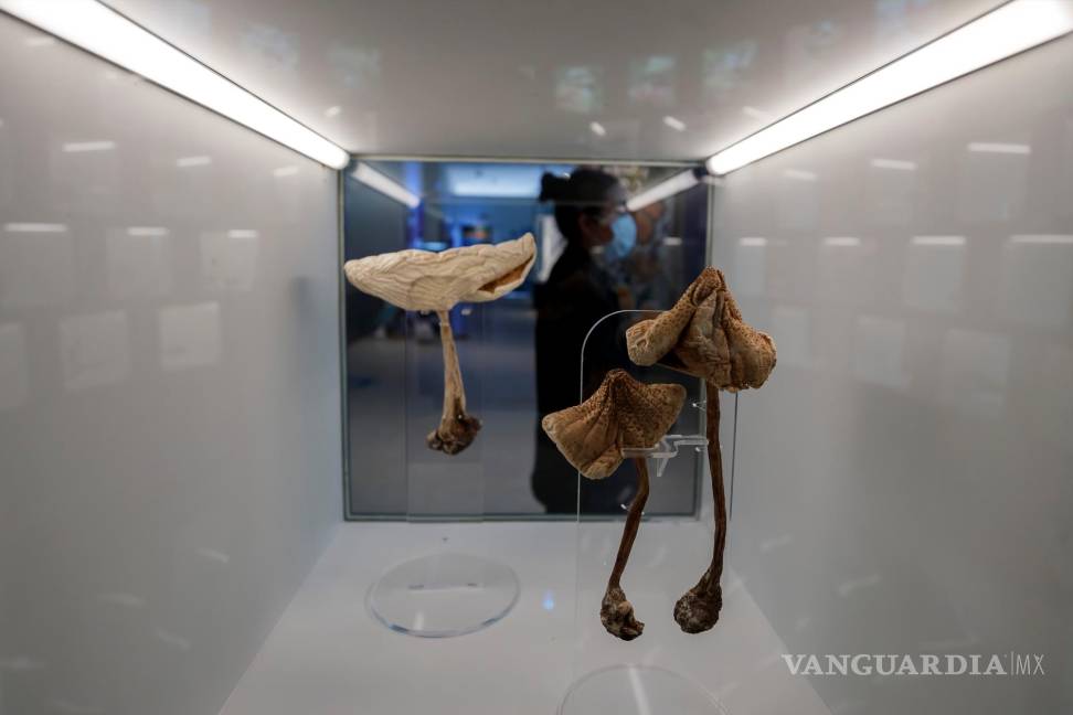 UNAM inaugura su Pabellón de la Biodiversidad con el apoyo de la Fundación Slim