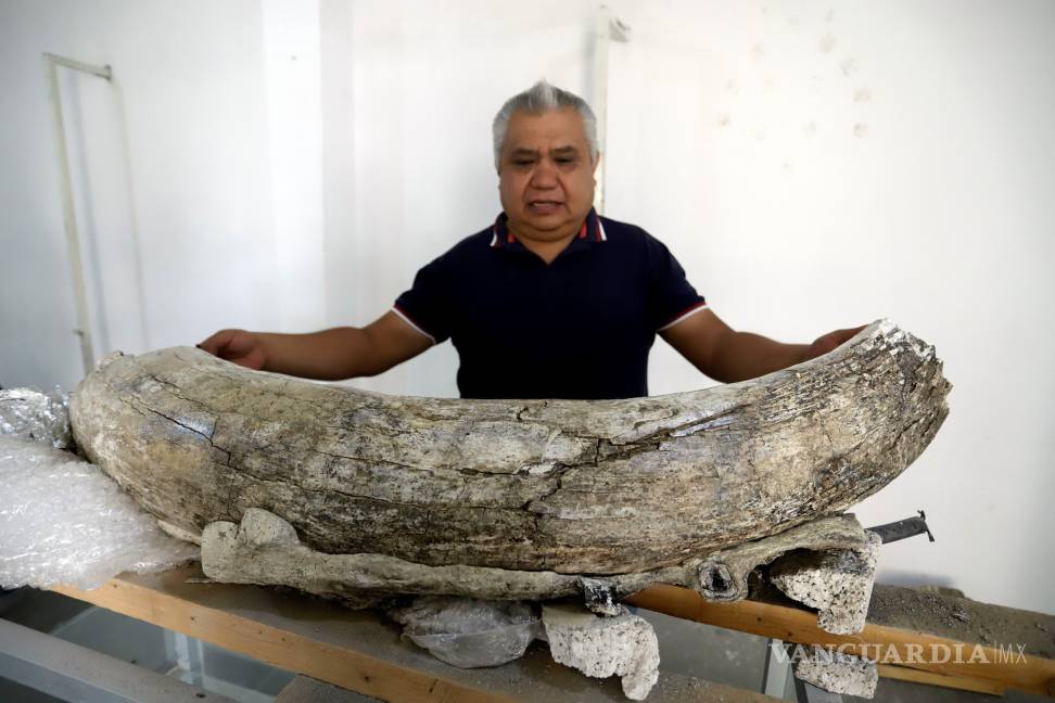 $!Descubren fósiles de entre 10.000 y 14.000 años en el centro de México
