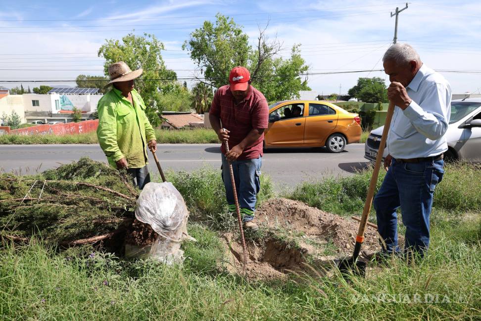 $!La Dirección de Medio Ambiente y Desarrollo Sustentable impulsa estas acciones bajo la visión de una Saltillo sustentable y con mayor calidad de vida.