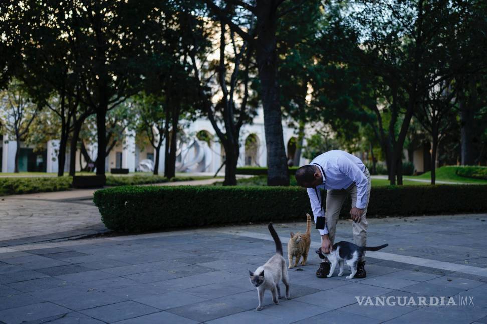 $!El veterinario Jesús Arias saluda a Ollin en un jardín del Palacio Nacional en Ciudad de México.