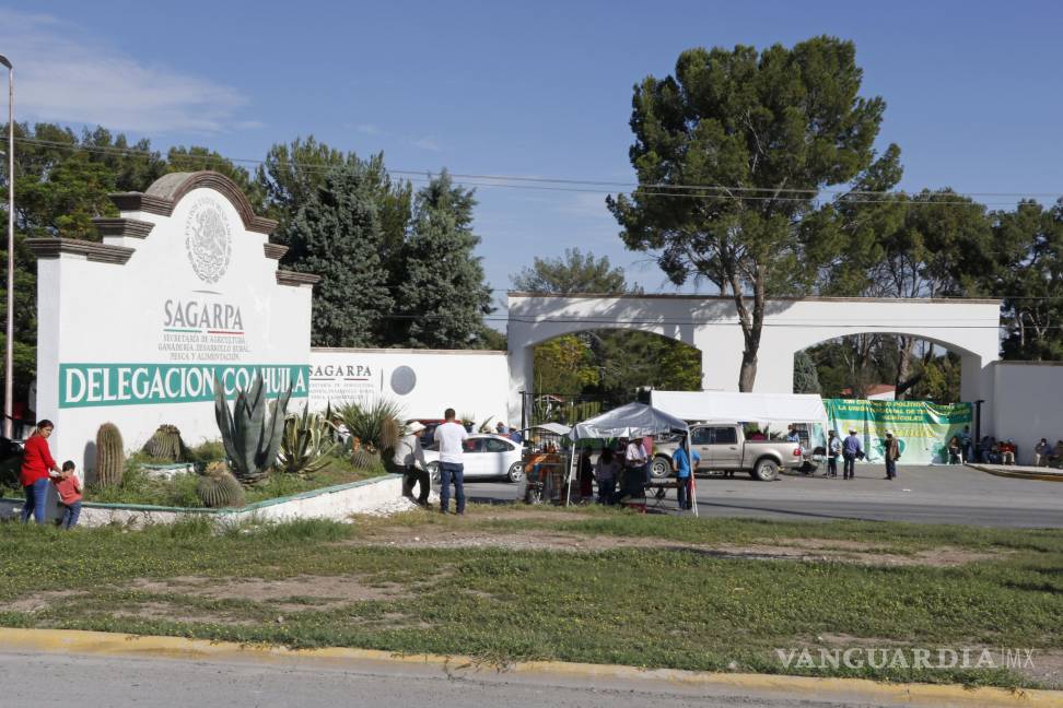 Reparte Sagarpa paquetes para la producción de hortalizas