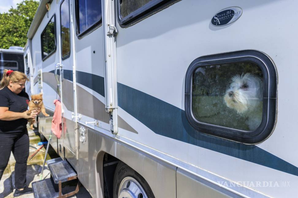 $!Un perro rescatado se asoma por la ventana de una casa rodante estacionada en la sede de Adopt and Save a Life Rescue Mission en Miami, Florida.