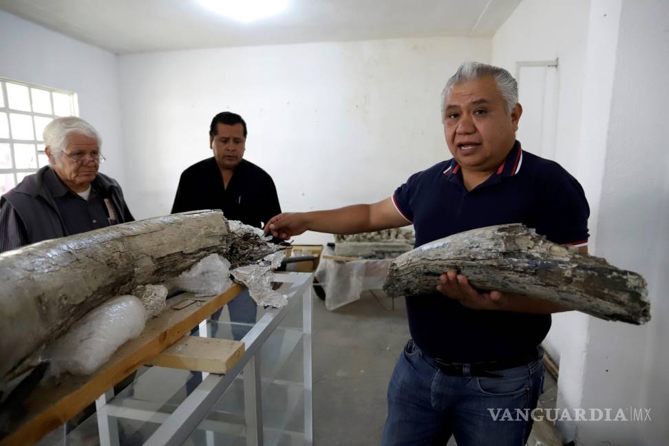 $!Descubren fósiles de entre 10.000 y 14.000 años en el centro de México