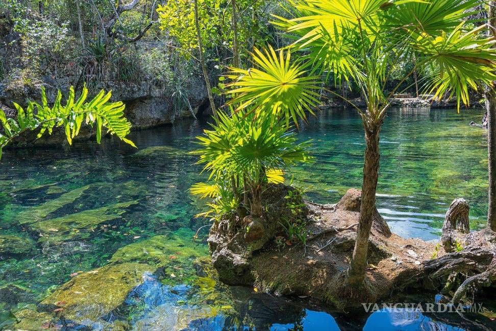 $!Excelente calidad de vida en México. Encuentra calidad de vida en México.