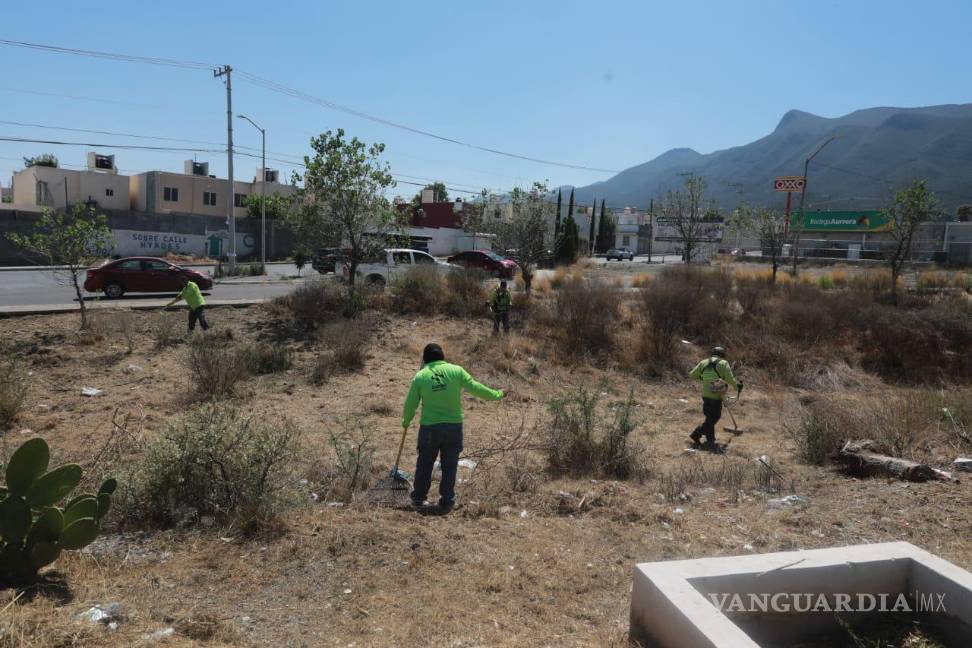 $!En el camellón central del Eje 5 del Nuevo Centro Metropolitano, se realizaron labores de deshierbe.