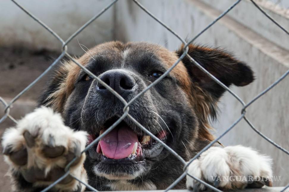 $!Tener un plan de acción puede marcar la diferencia entre el peligro y la seguridad.