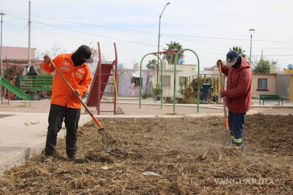 $!Las áreas verdes fueron intervenidas con técnicas de conservación ambiental.