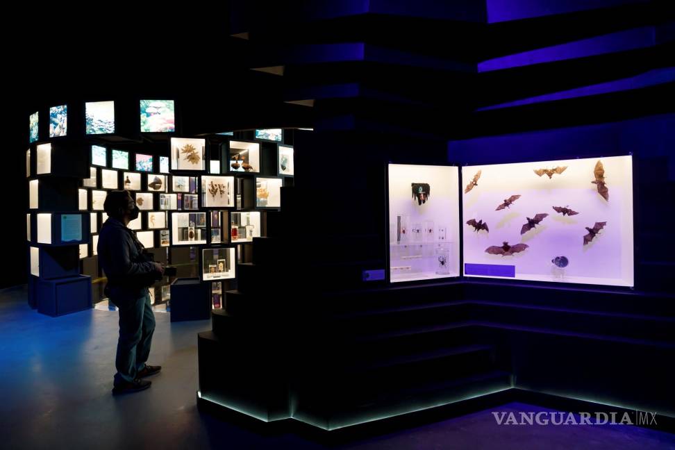 UNAM inaugura su Pabellón de la Biodiversidad con el apoyo de la Fundación Slim