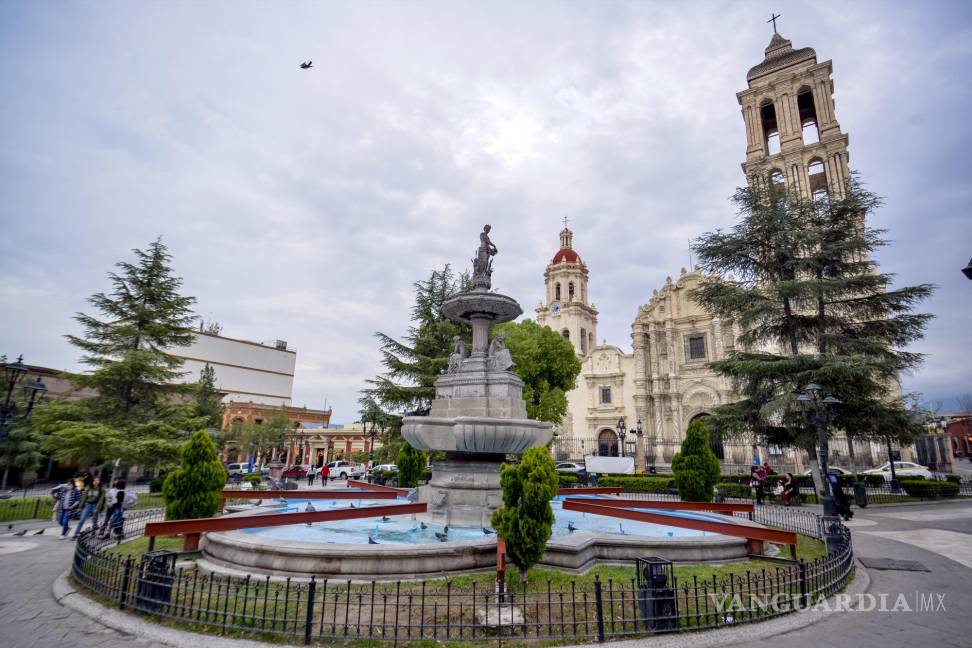 ¡Regresa el pino! Comienza instalación en la Plaza de Armas de Saltillo para Navidad