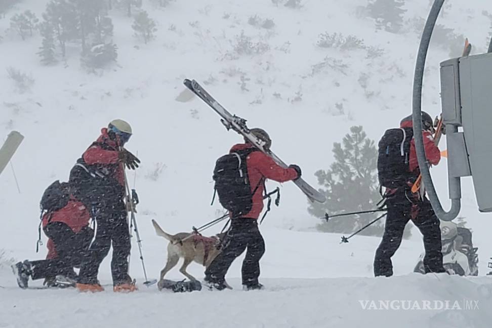 $!Acompañadospor perros rescatistas, el personal de ayuda estuvo revisando el área, utilizada por esquiadores expertos.