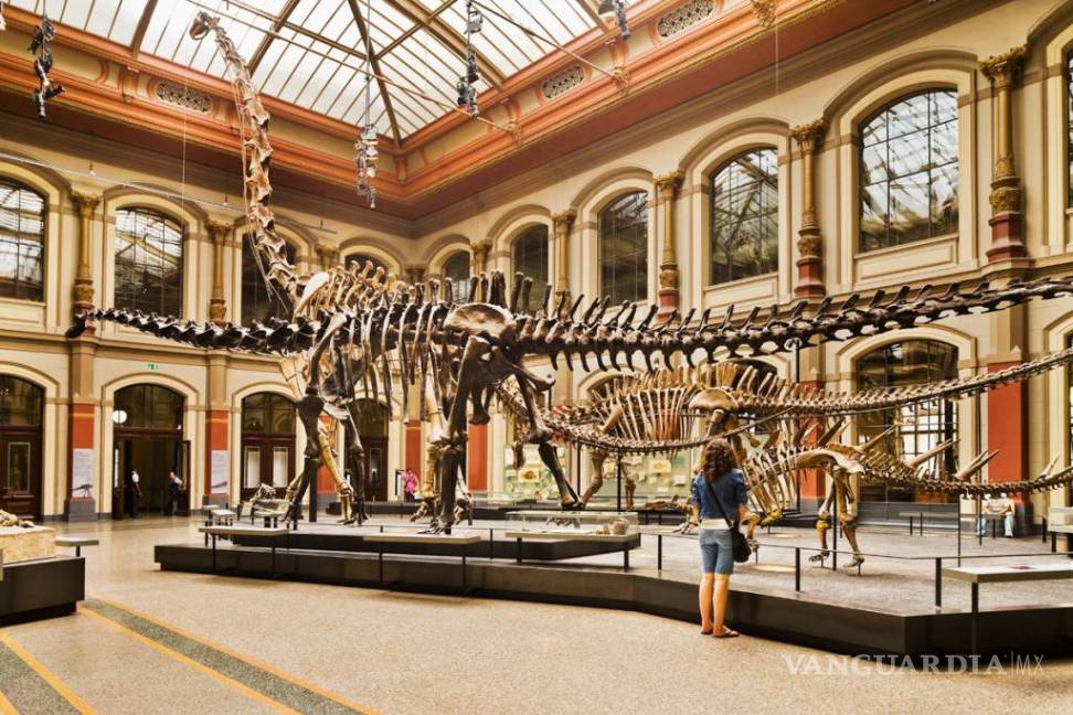 Museo de Historia Natural de Berlín rastrea el ecosistema del Spinosaurus