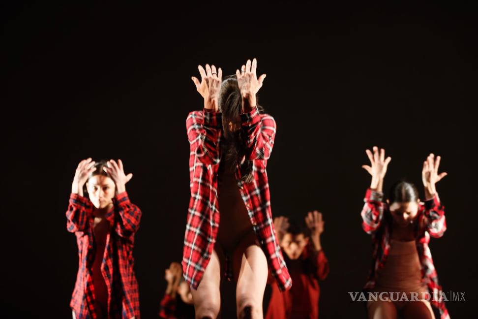 “#The_Wall”, de la bailarina mexicana Elisa Carrillo, explora la división de las fronteras