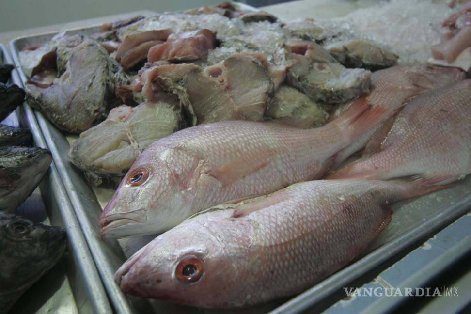 Verifica SS calidad de productos del mar en pescaderias de Coahuila