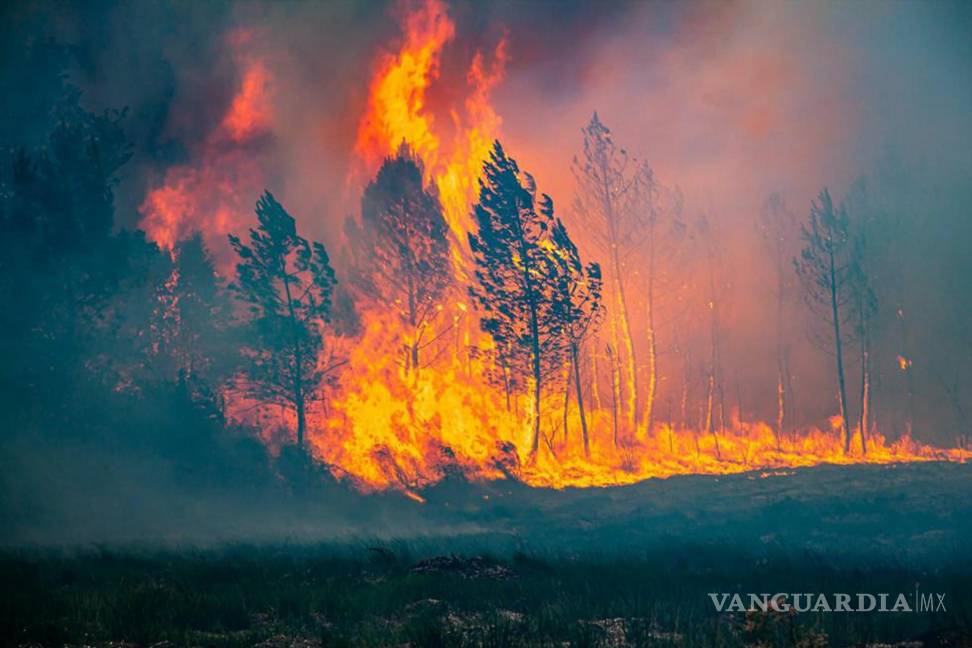 $!Imagen proporcionada por el Servicio Departamental de Bomberos y Rescate de Gironda 33 (SDIS 33) de un incendio en un bosque en La Teste-de-Buch, Francia.