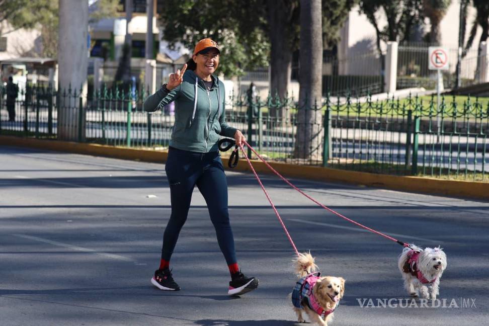$!Familias, niñas y niños aprovecharon el paseo dominical para caminar, trotar y andar en bicicleta en un entorno seguro y libre de vehículos.
