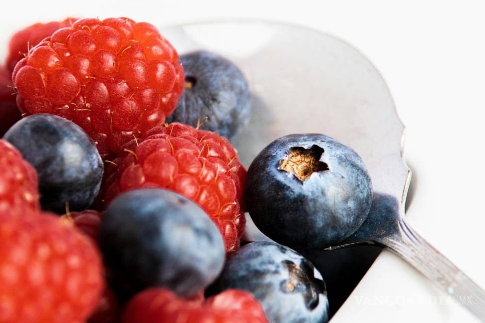 $!Los arándanos, junto con otras frutas rojas como las fresas y las frambuesas, son ricos en vitamina C y antioxidantes.