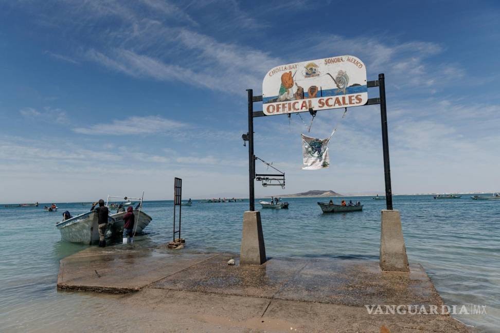 $!Barcos camaroneros después de un día de pesca en el Golfo de California, en Puerto Peñasco, México.