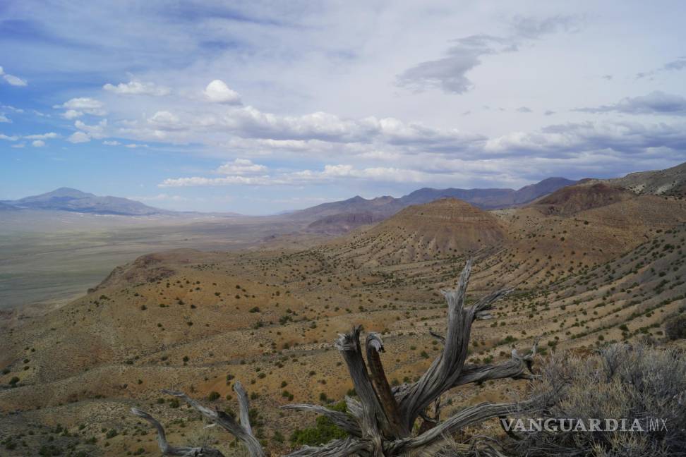 $!Zona de las montañas de Augusta (Nevada, EU) donde se encontró el fósil de C. youngorum. EFE/Lars Schmitz