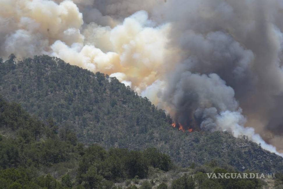 $!En un día el fuego consumió otras 10 hectáreas de área boscosa, sumando hasta el mediodía de este viernes 80 hectáreas consumidas.