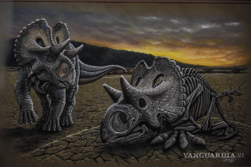 $!Inaugura Punta de Plata su galería ‘Ecos del Trazo’ en Museo Rubén Herrera