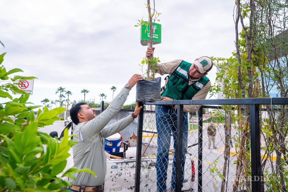 $!Las especies plantadas fueron elegidas por su adaptación al clima de Torreón.