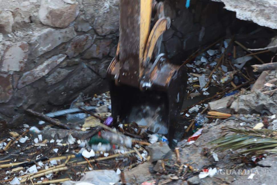 $!Es esta primera etapa se contempla la remoción de escombros, basura acumulada y desechos orgánicos.