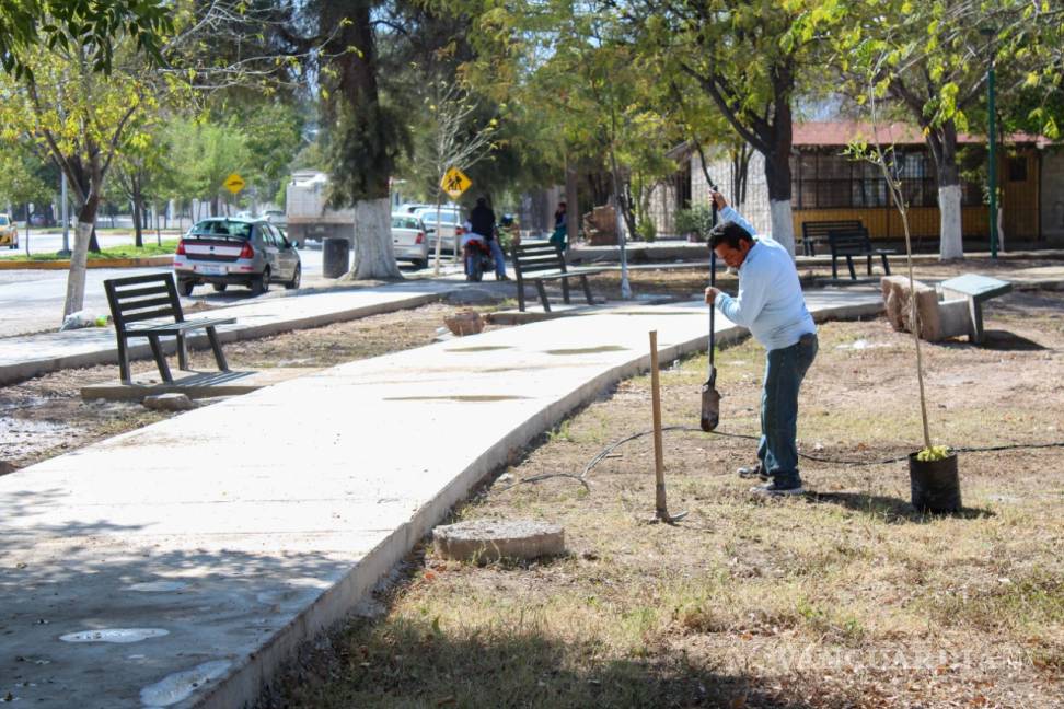 $!Rehabilitación de la Plaza de la Tortuga de Torreón registra avance del 40 por ciento