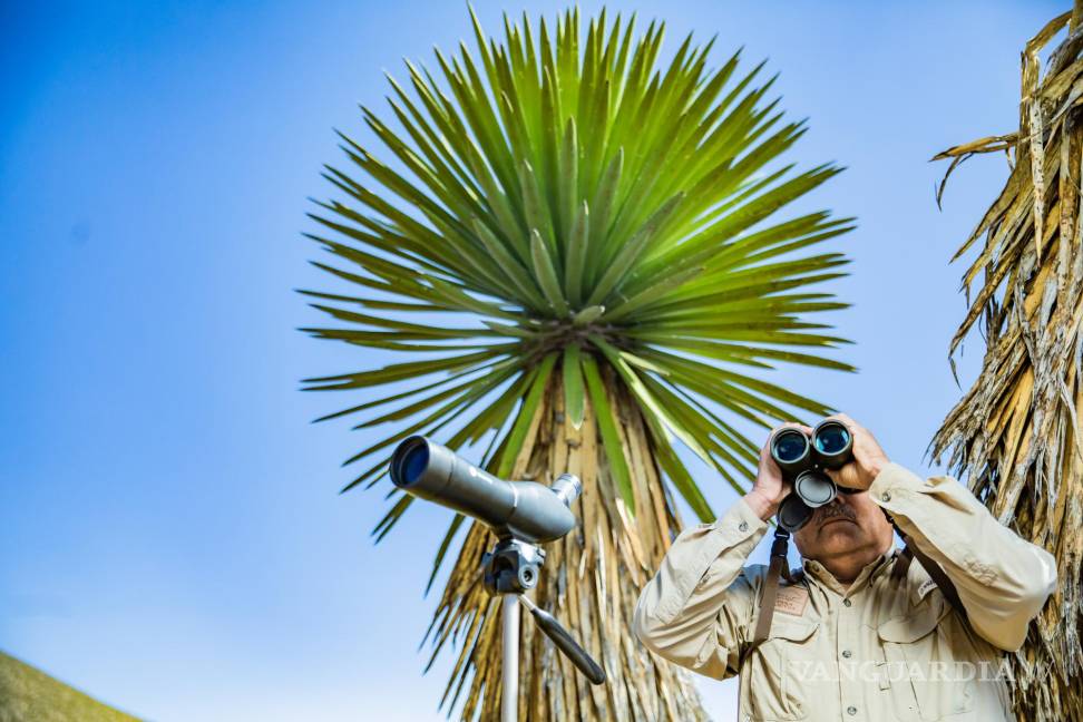 Enrique Cisneros Tello: El vigía del Águila Real