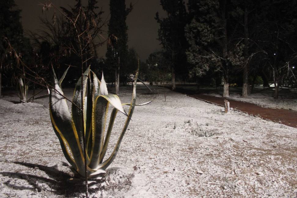 $!Comienza a nevar en Ramos Arizpe; las calles se cubren de blanco